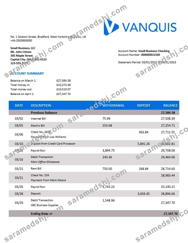Vanquis Bank organization account statement Word and PDF template
